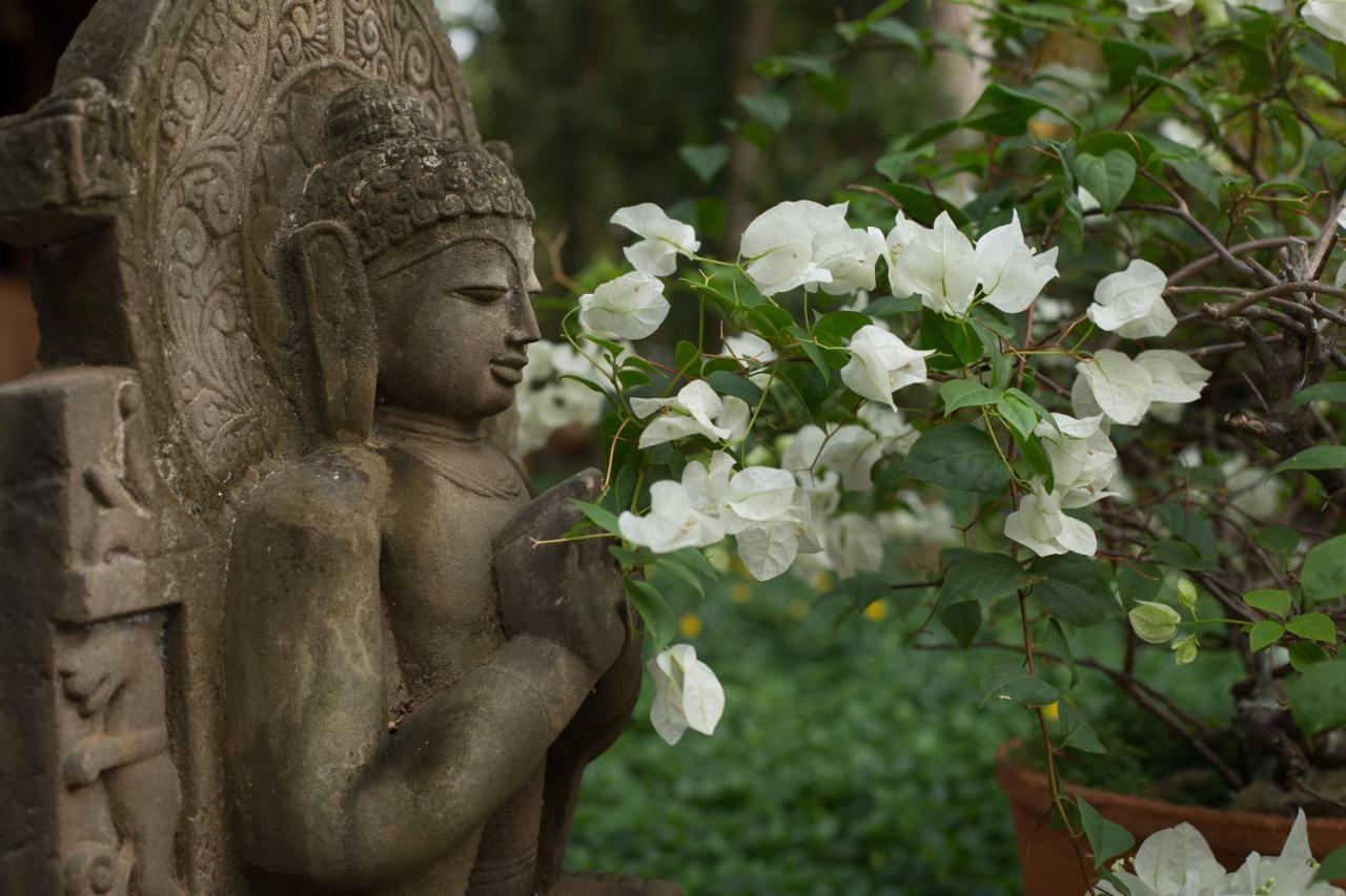 Somatheeram Ayurveda Village Kovalam Esterno foto